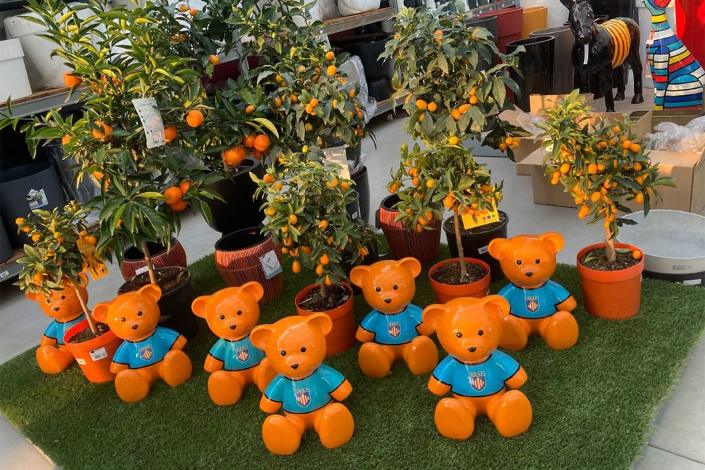 oranges-les-jardins-de-gabiani-jardinerie-perpignan-arbres-1