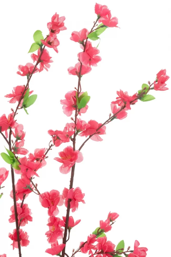 Fleur de Pêcher Rouge (Art.) – Image 2