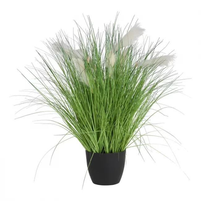 Herbe (Art.) - Vert & Blanc – Image 4