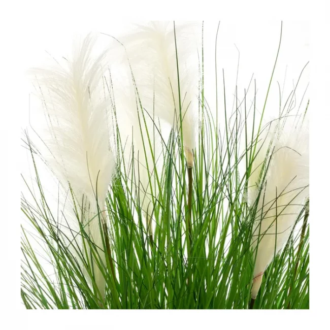 Herbe (Art.) - Vert & Blanc – Image 3