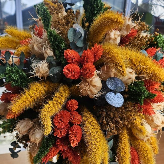 Arbuste Décoratif – Image 3