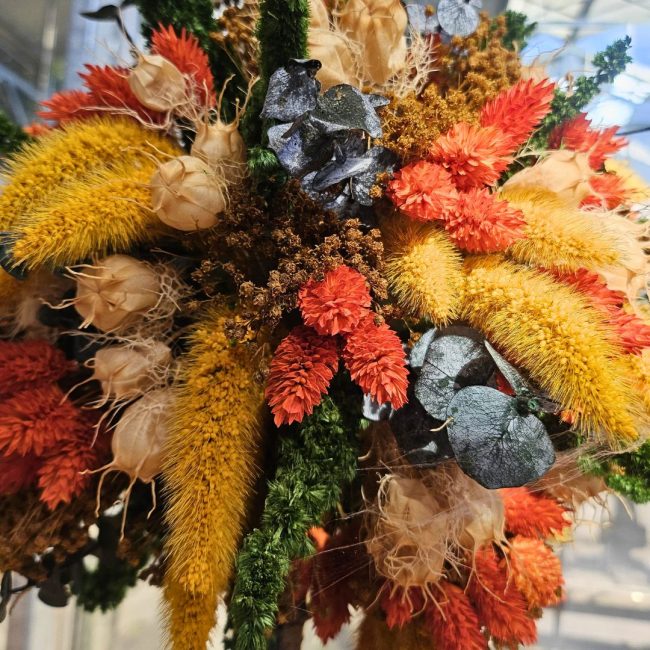 Arbuste Décoratif – Image 4