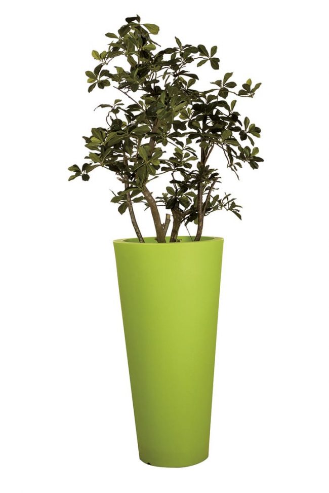 Colors – Cylindre Vert