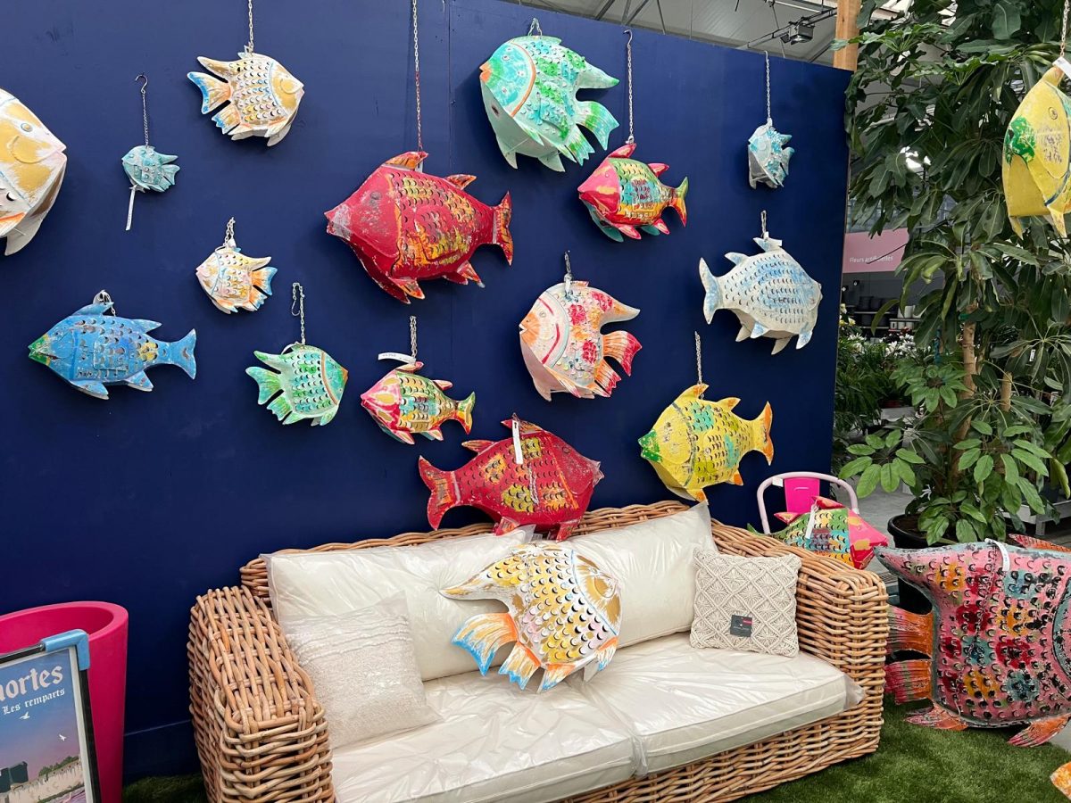 decoration interieur poissons- jardinerie - jardins de gabiani - perpignan