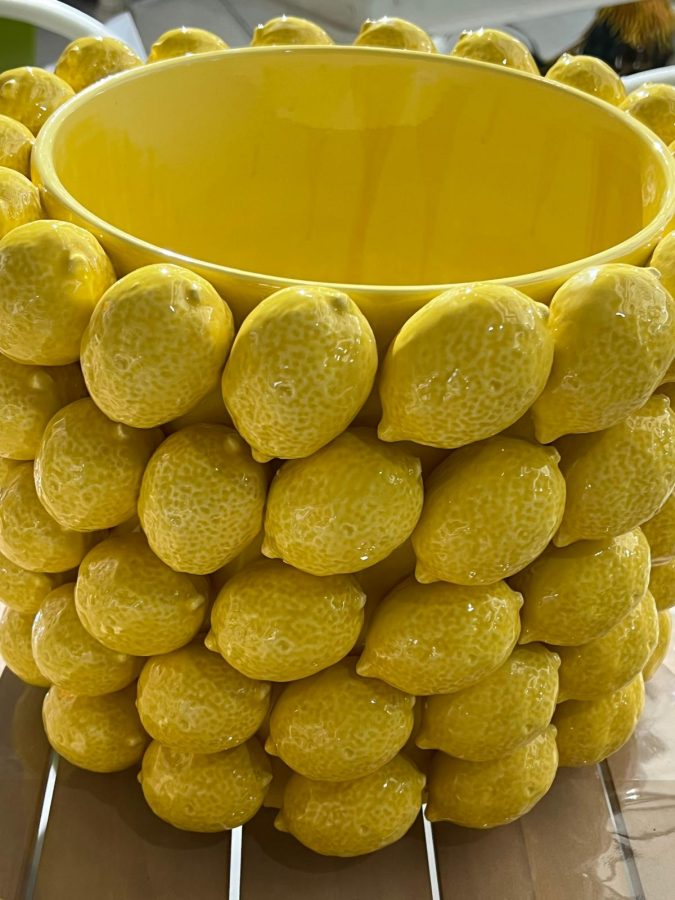 decoration interieur vase citrons - jardinerie - jardins de gabiani - perpignan