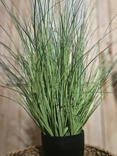 herbes artificiel - jardinerie - les jardins de gabiani - perpignan