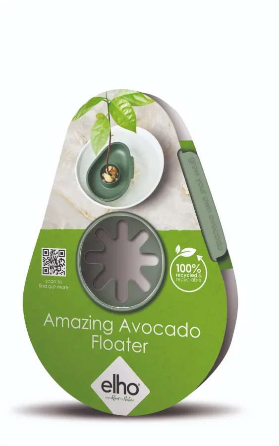 Amazing Avocado Floater