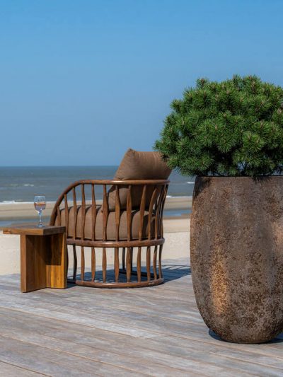 Belon – Imperial Brown