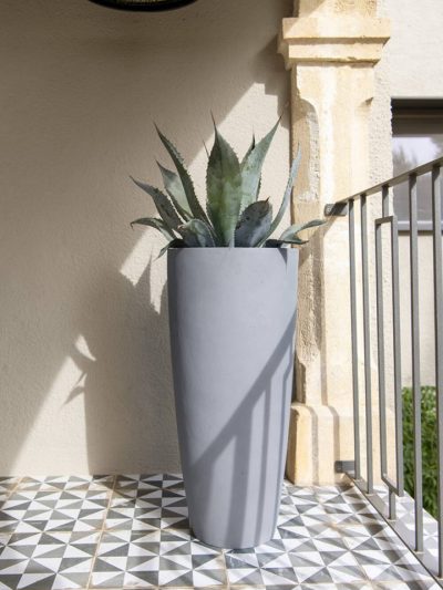 Dax – Grey