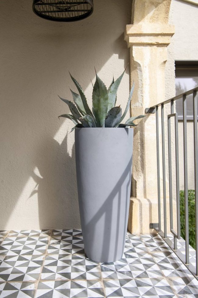 Dax – Grey