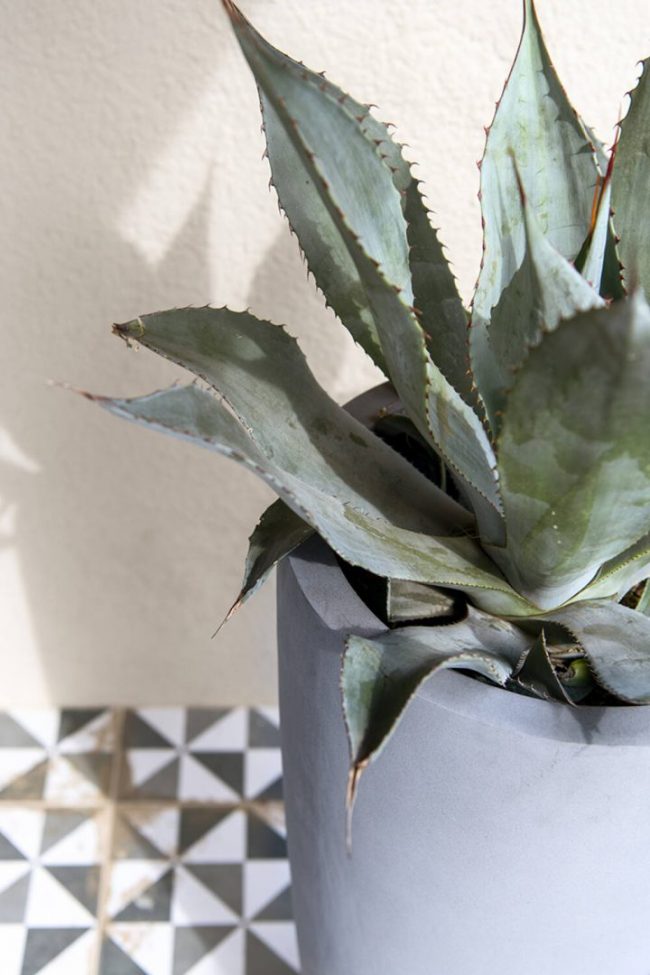 Dax – Grey – Image 2