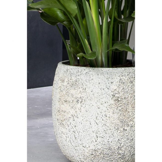 Gillard – Imperial White – Image 3