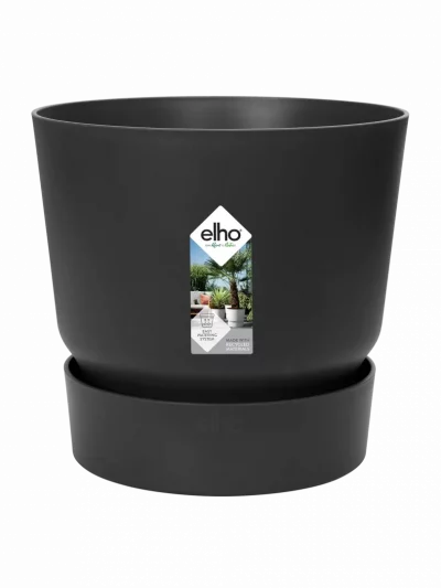 Greenville Rond – Living Black