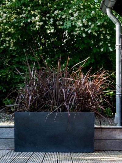 Jort – Black