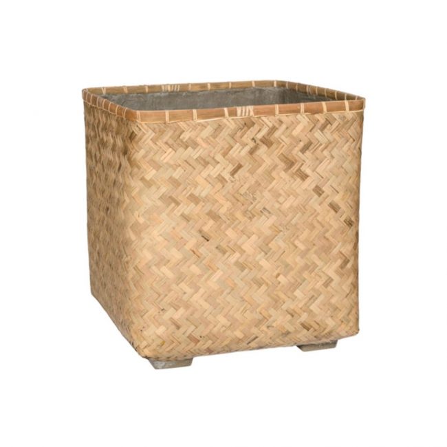 Kobe – Bamboo – Image 2