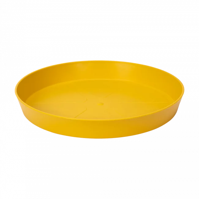 Loft Urban Soucoupe Ronde – Ocre – Image 2
