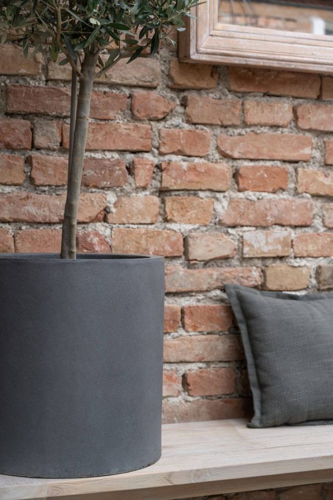 Max – Black Washed – Image 2