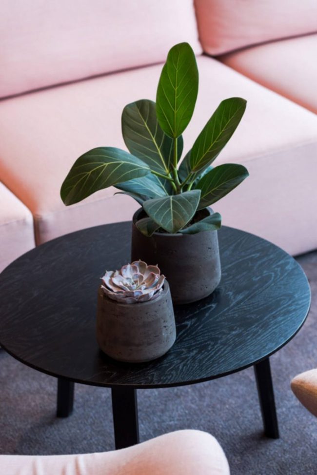 Patt – Black Washed – Image 2
