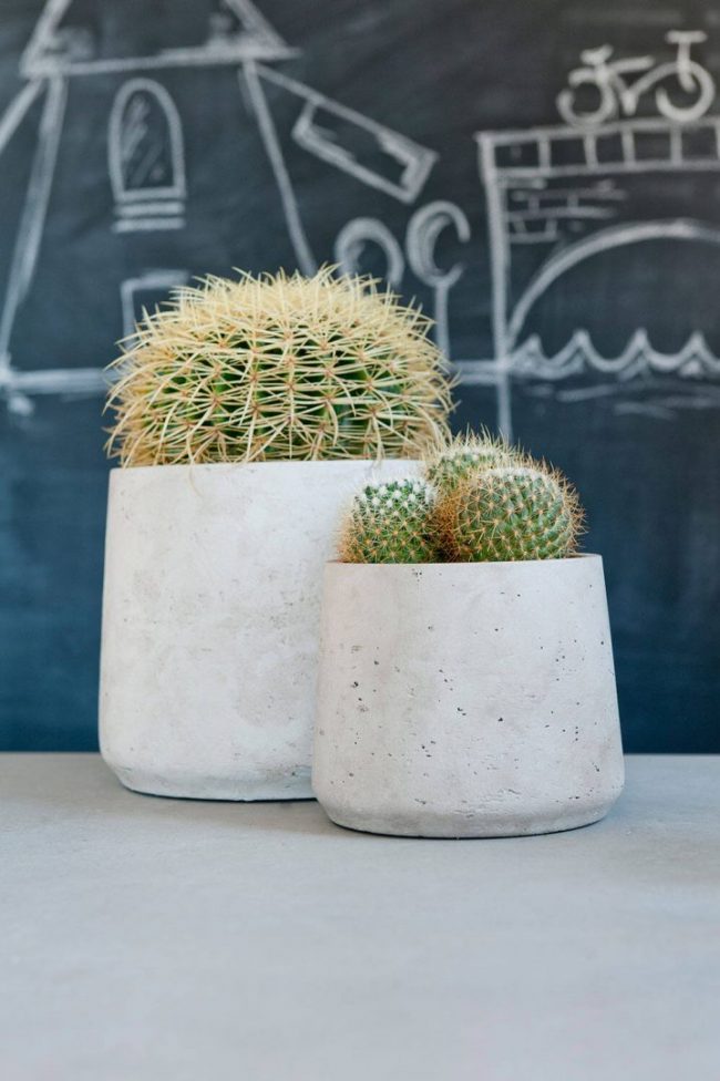 Patt – Grey Washed – Image 4