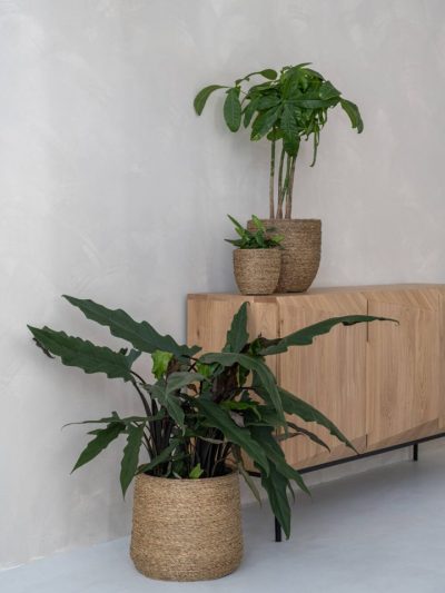 Patt – Straw Grass