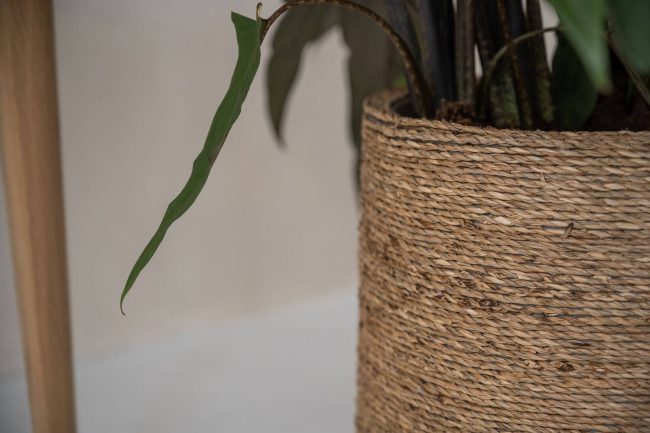 Patt – Straw Grass – Image 3