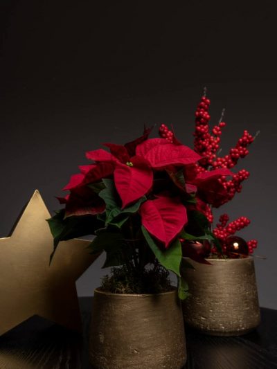 Patt – Metallic Gold