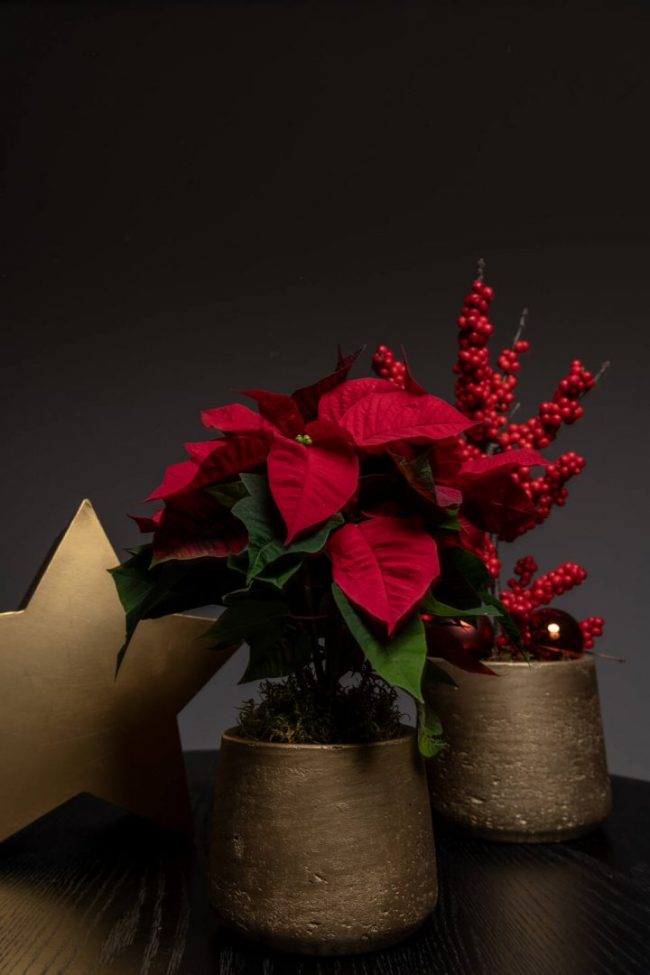 Patt – Metallic Gold