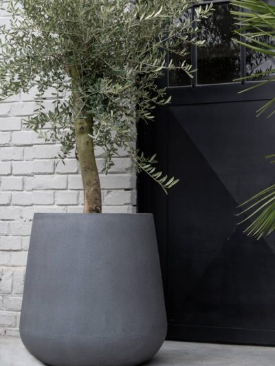 Pax – Grey