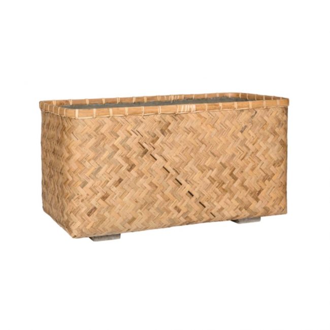 Rafi – Bamboo – Image 6