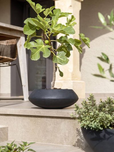 Tara – Black