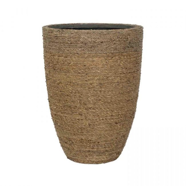 Ben – Straw Grass – Image 2