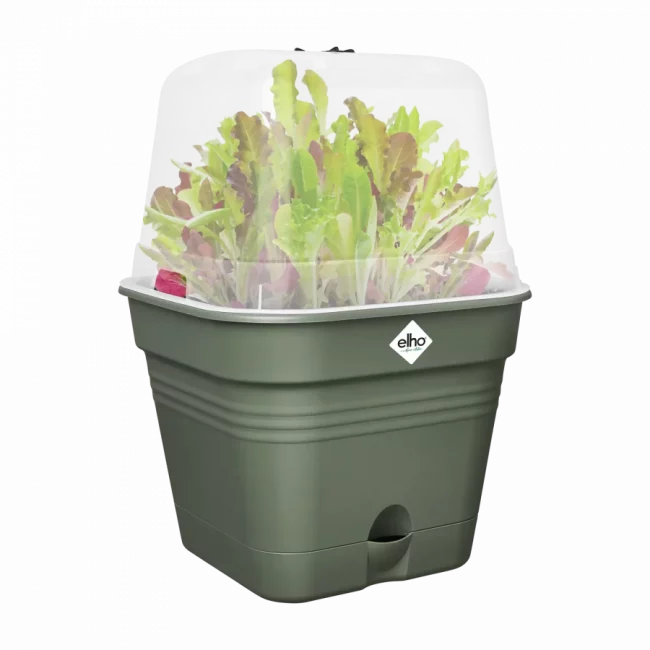 Pot de Culture All-in-1 – Leaf Green – Image 3