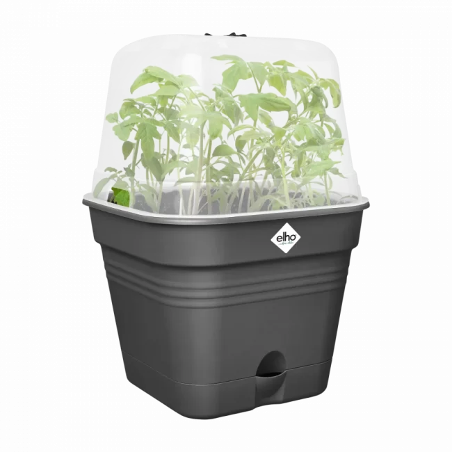 Pot de Culture All-in-1 – Living Black – Image 3