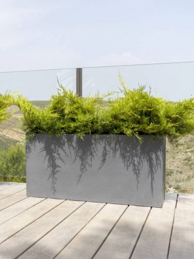 Jort – Grey