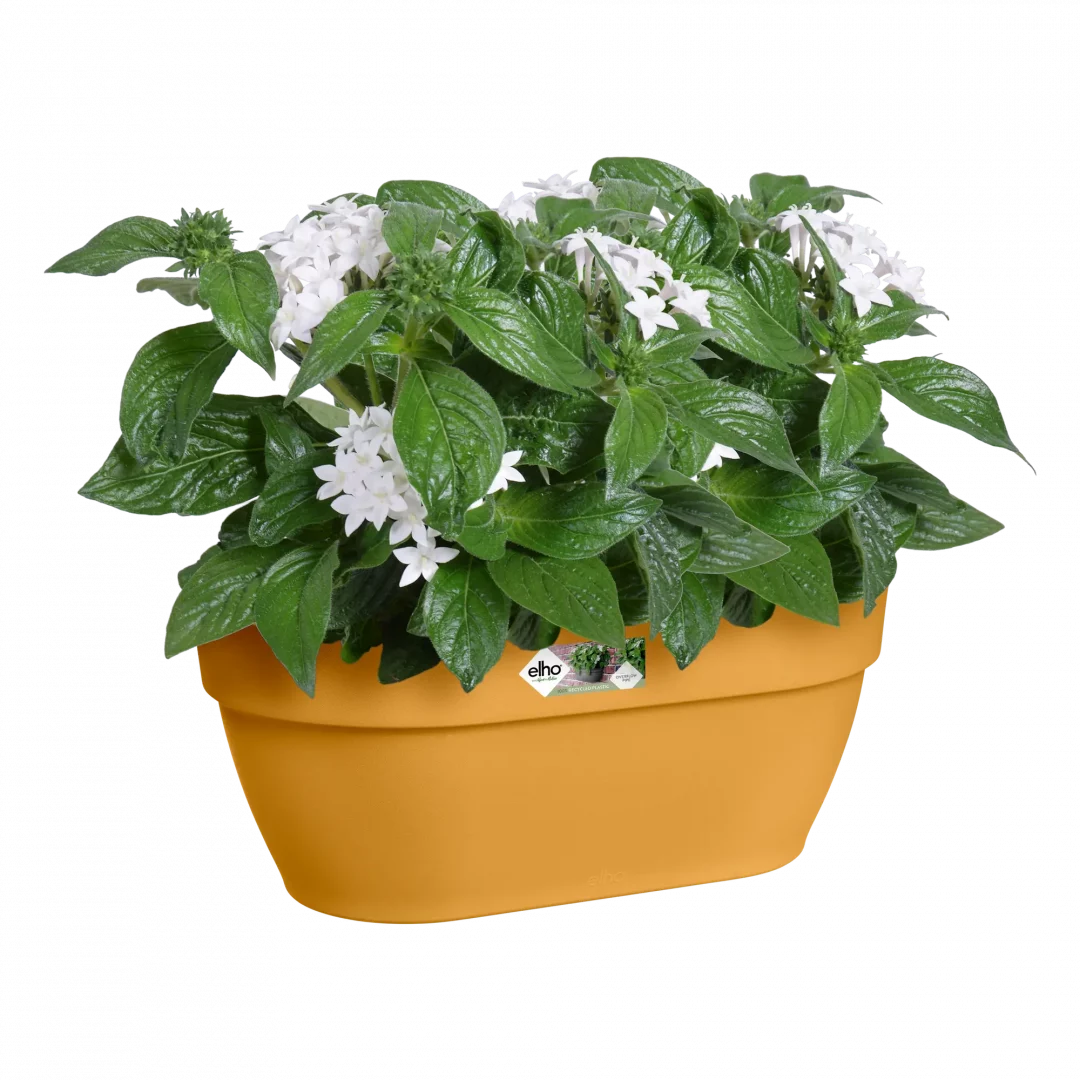 Vibia Campana Mural – Jaune Miel – Image 4