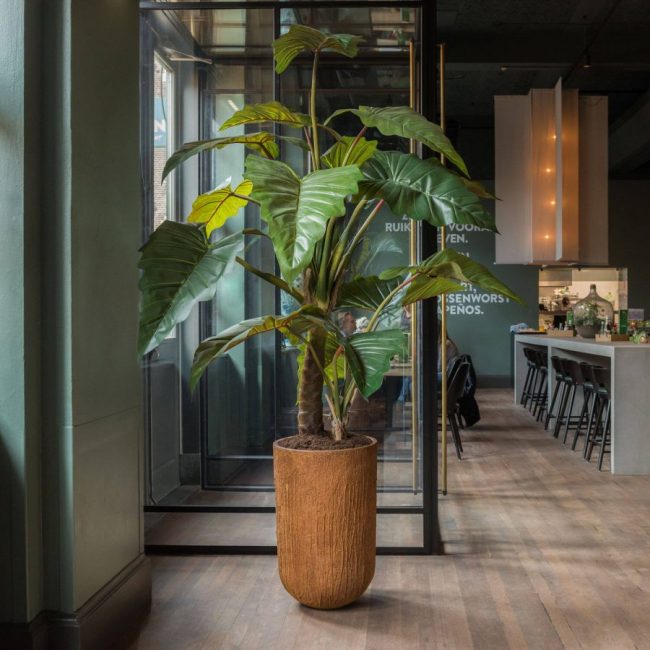 Alocasia Tree (Art.)