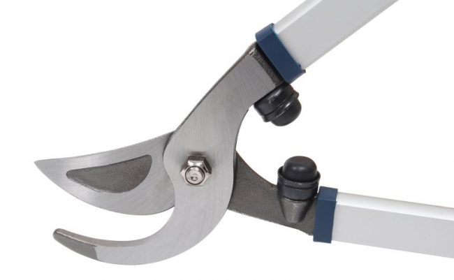 Elagueur Professionnel – Image 4