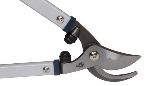 Elagueur Professionnel – Image 3