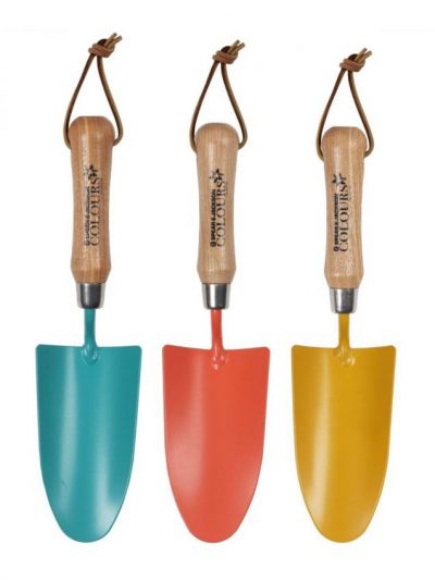Transplantoir (Divers Coloris)