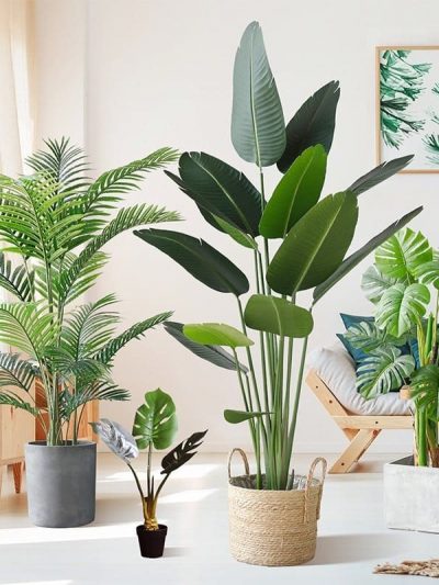 Plantes Artificielles