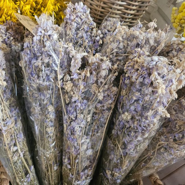 Delphinium (Botte) – Image 2